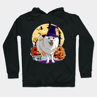 American Eskimo Dog Halloween Pumpkin Hoodie